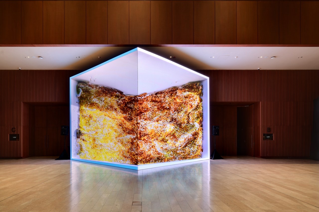 İstanbul Dijital Sanat Festivali, IDAF 2025, fotoğraf 3